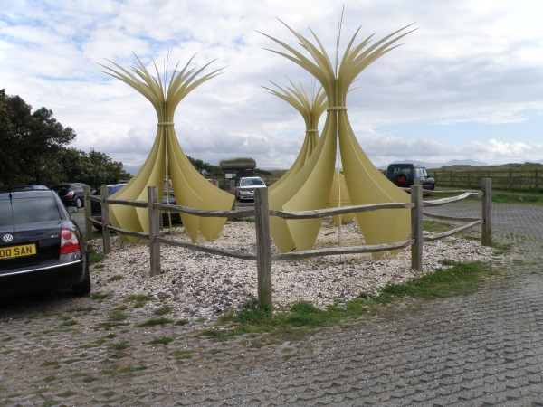 Car park and ponies