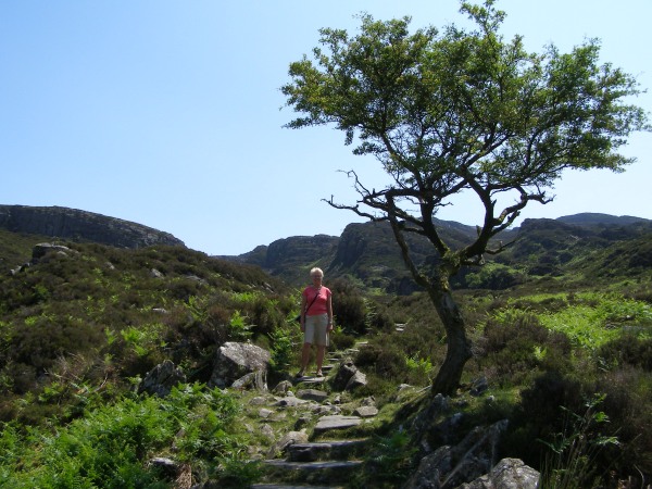 The view from the top of Roman Steps