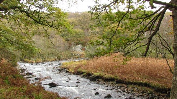 The pretty River Artro
