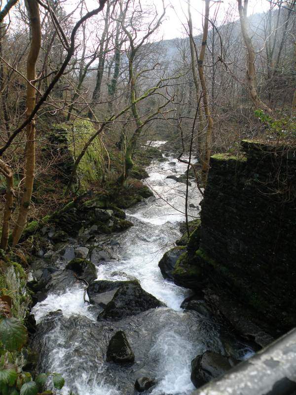 The River Deri at Abercorris