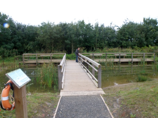 The pond at Secret Marsh Nature Reserve