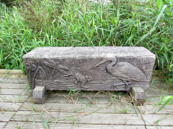One of the beautifully carved benches in the reserve