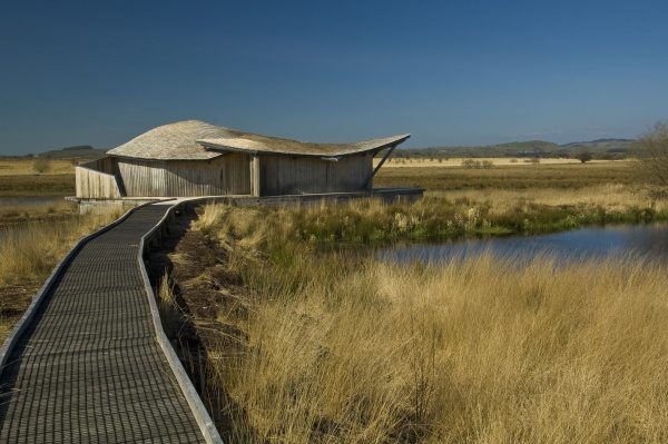 The bird hide at Cors Caron