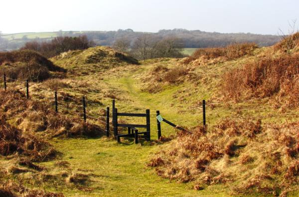 One of the paths at oxwich