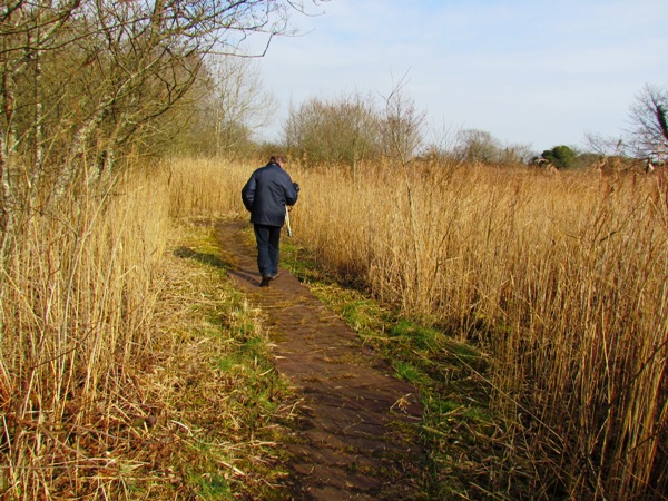 The boardwalk at Oxwich NNR