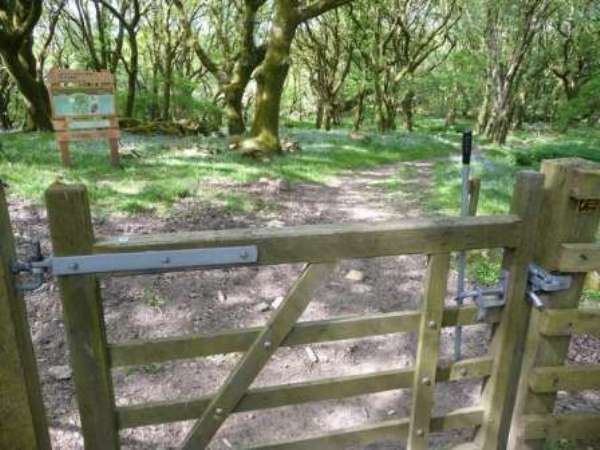 Ty Canol entrance