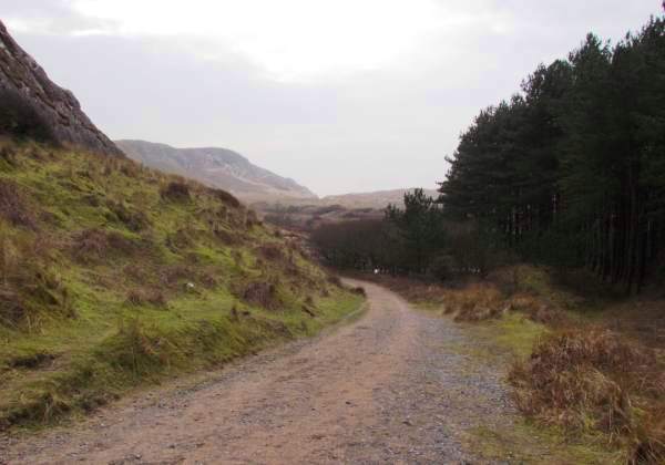 Entrance to the NNR