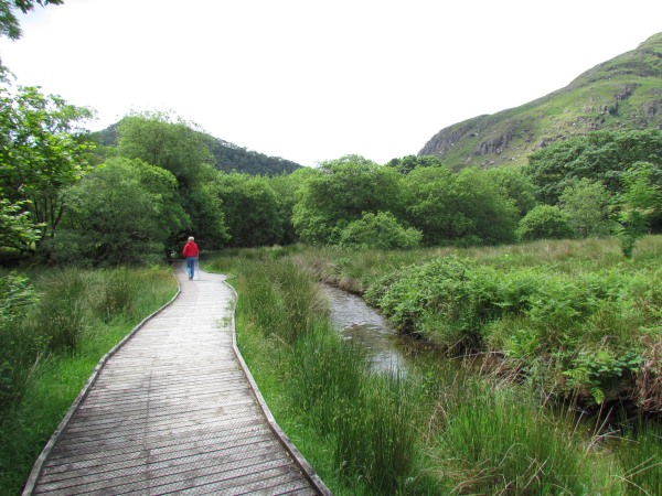 A view across the reserve