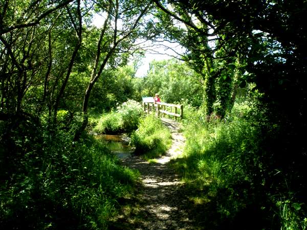 The footbridge leads to the boardwalk