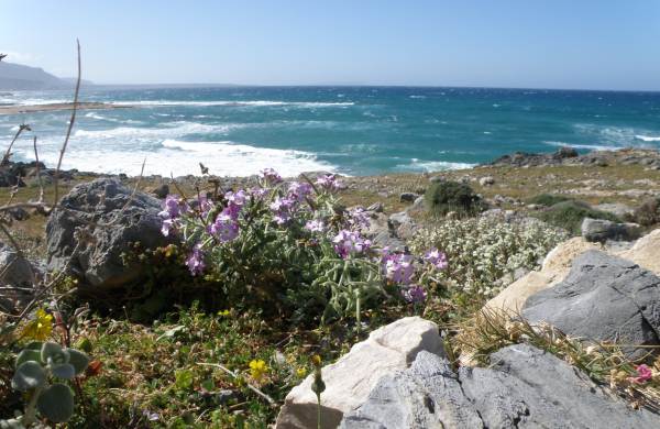 Crete's northern coast